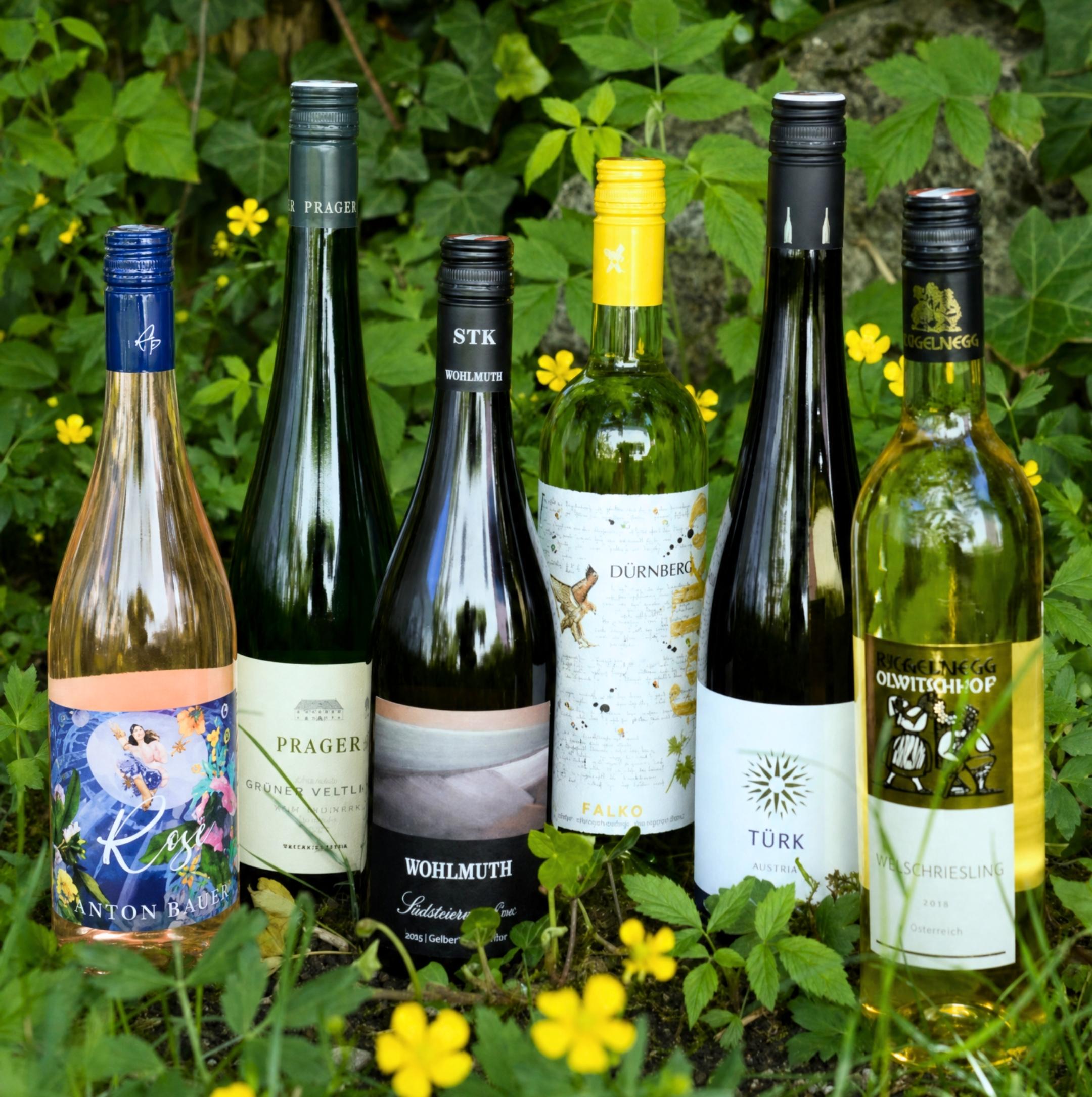Sommerweine leicht & fruchtig