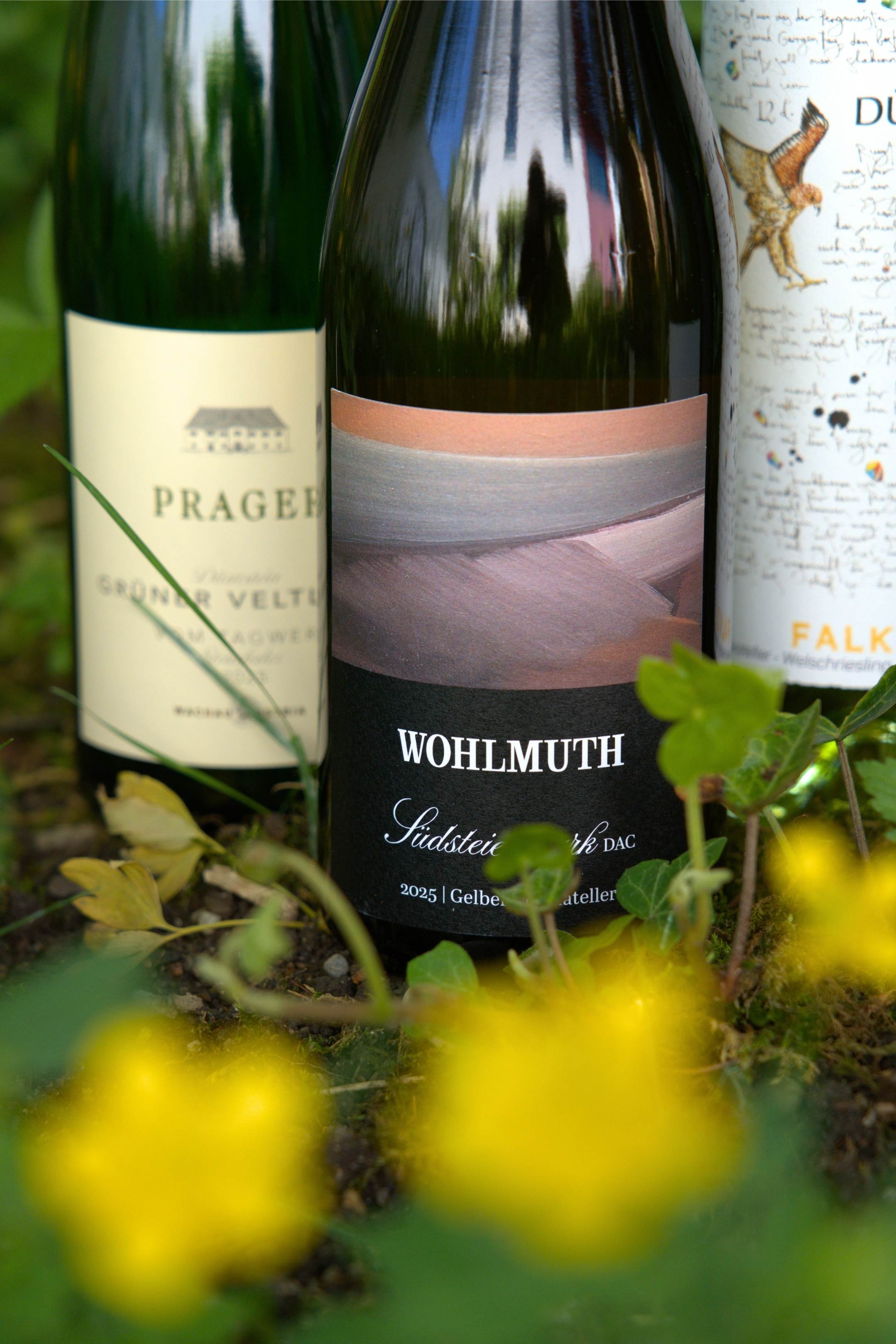 Sommerweine leicht & fruchtig