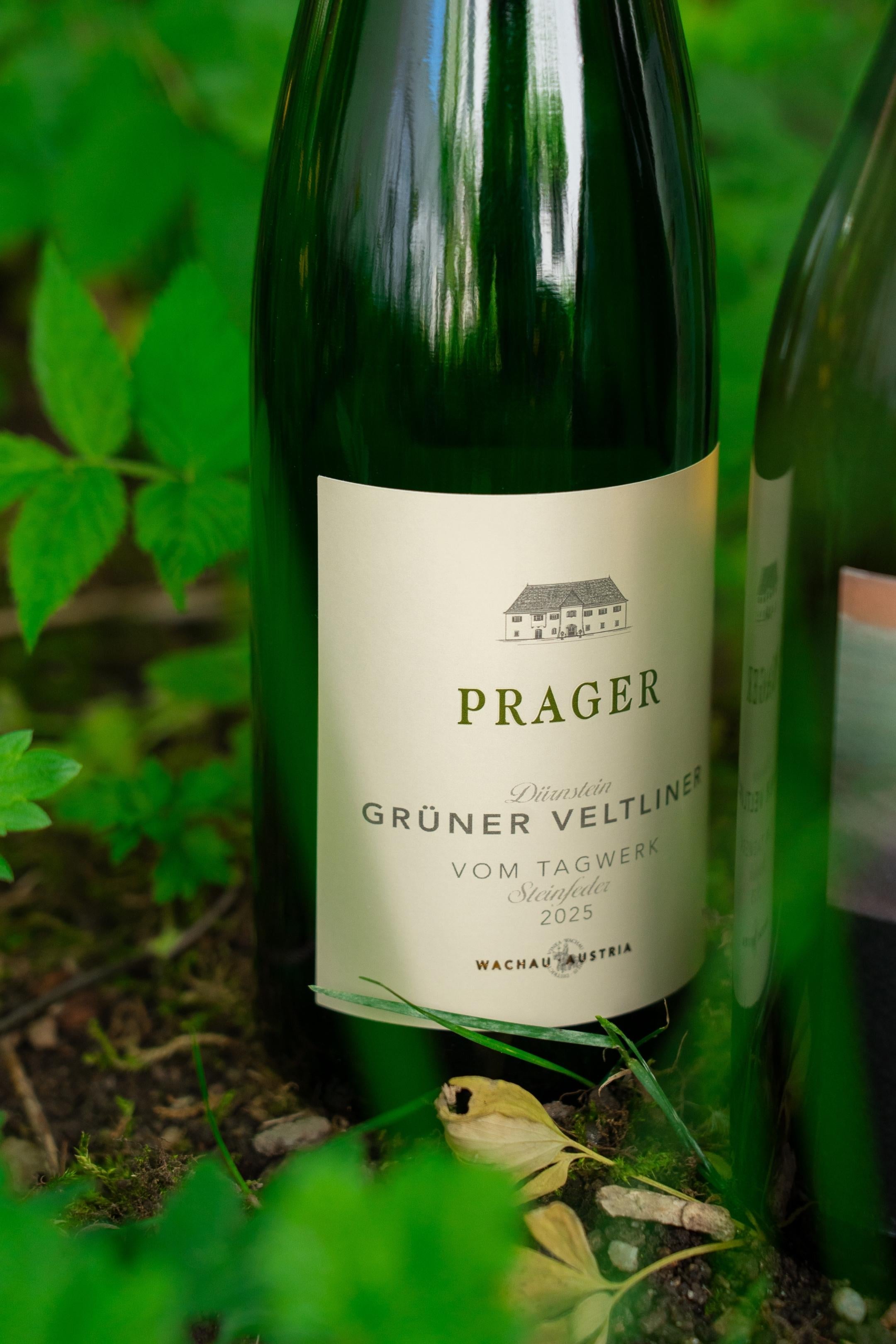 Sommerweine leicht & fruchtig