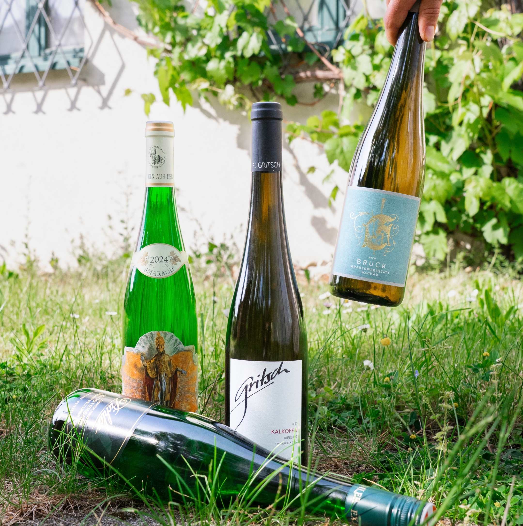 Wachau alt vs. neu